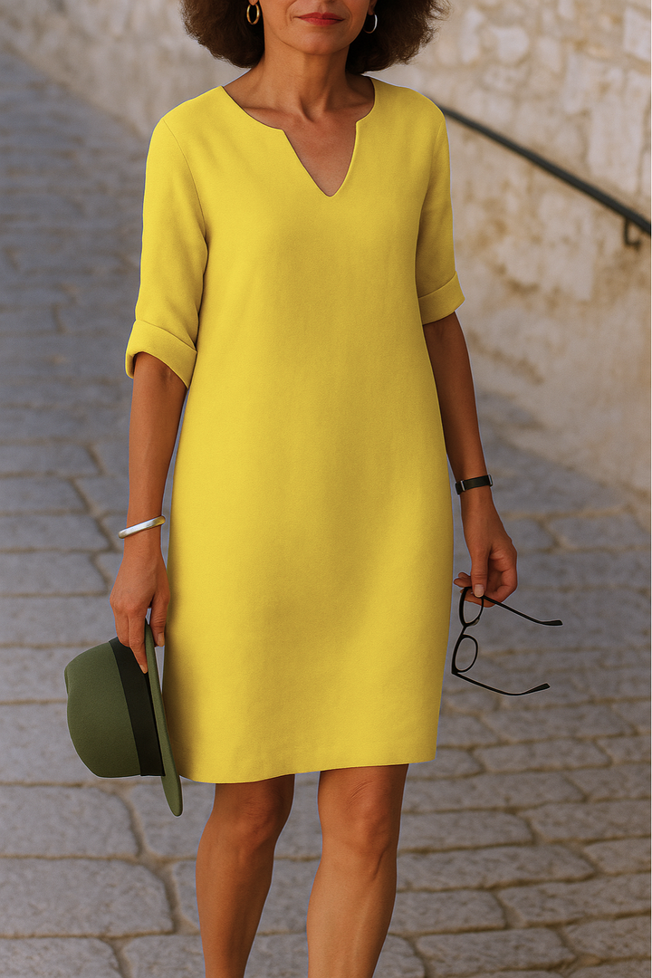 Ria Elegant V-Neck Dress