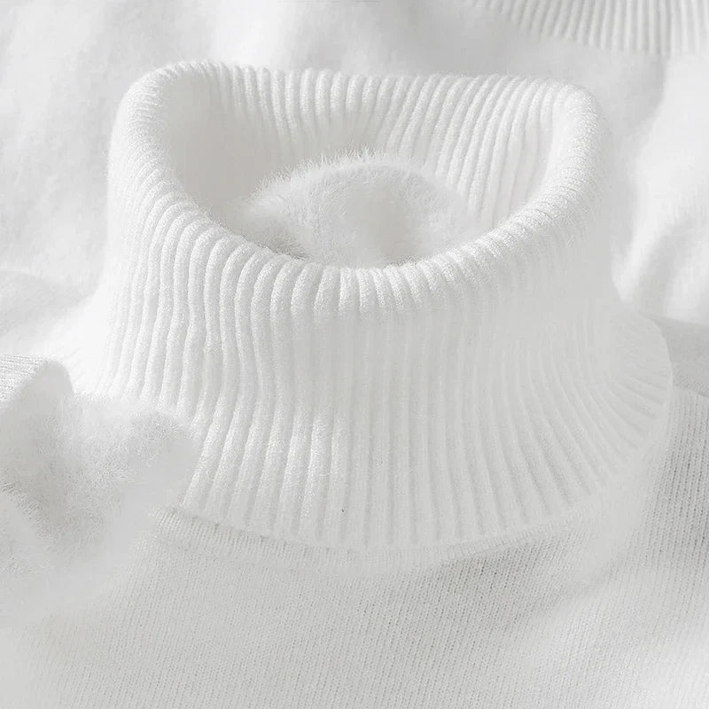 Leroux Turtleneck Sweater