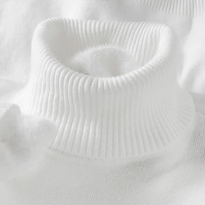Leroux Turtleneck Sweater