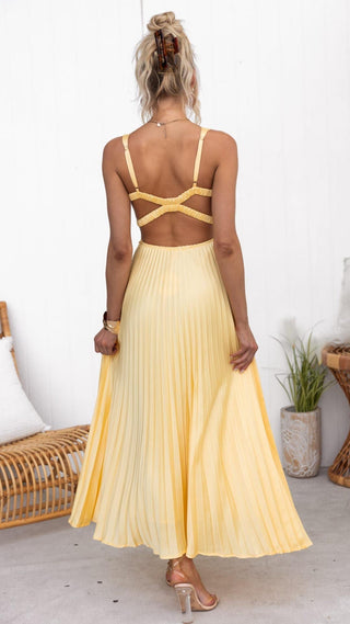 Aby Pleated V-Neck Maxi Dress
