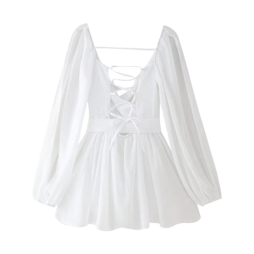 Brigitte Sheer Sleeve Dress
